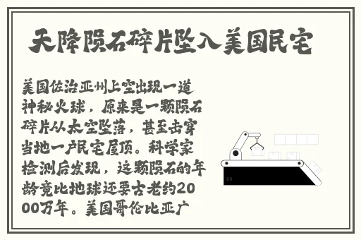 AAAA级毛皮